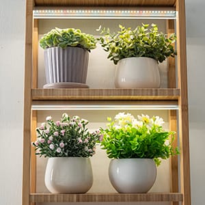 grow light
