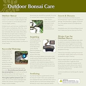 Outdoor Bonsai Proper Care Brochure
