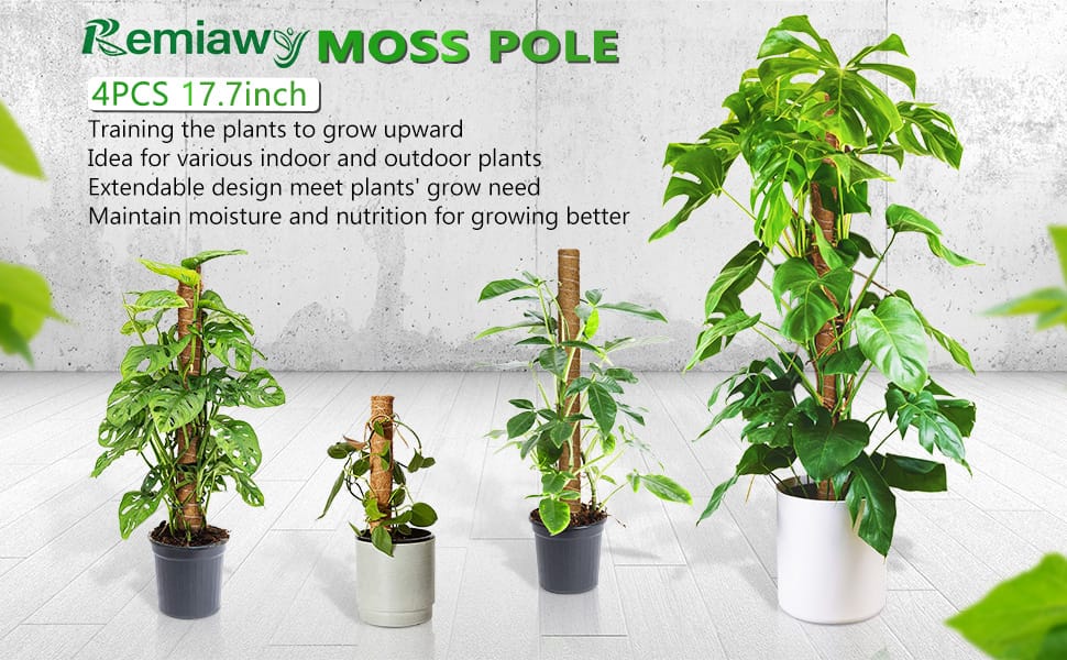 Remiawy moss pole