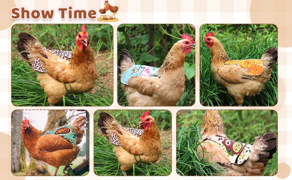 chicken saddle for hens