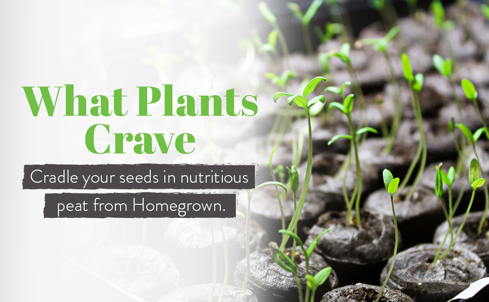 peat soil, soil pellets, soil pods for starting seeds, peat moss pellets, peat moss seed starter