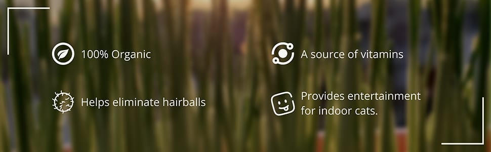 4 main benefits