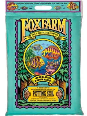 Ocean Forest potting soil indoor plants well draining
