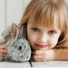 rabbit grass treat food diy sprout sprouting rabbits handy pantry wheatgrass kits petgrass pet grass