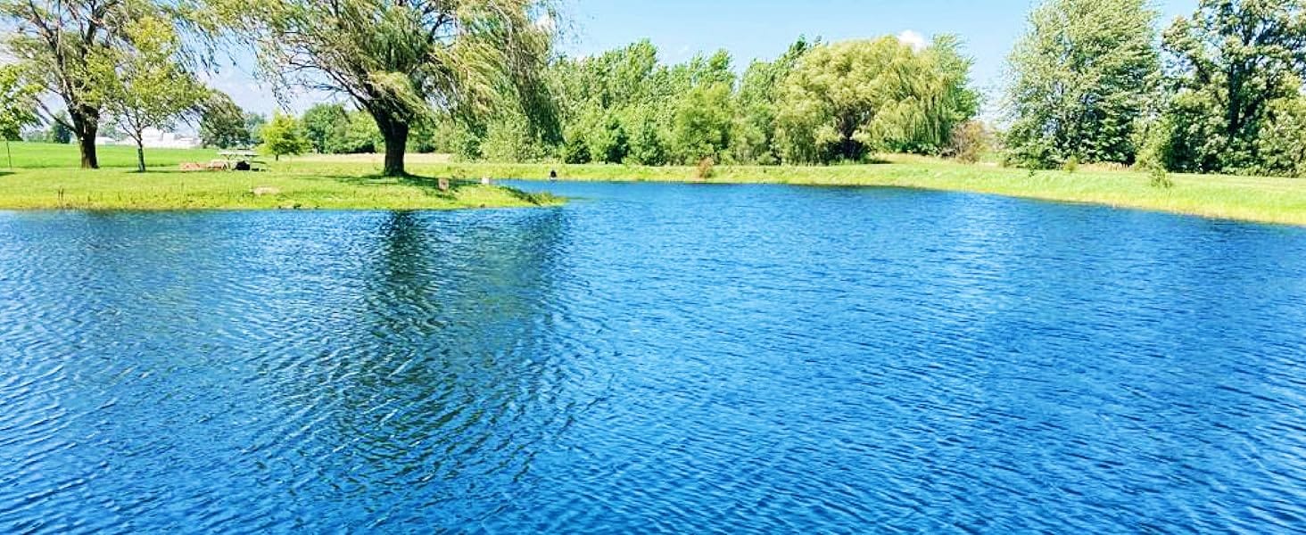 After pond algae treatment