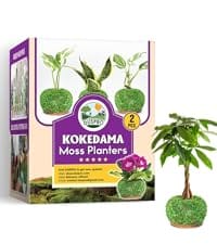 kokedama