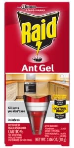 Ants and Roaches