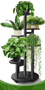 plant stand indoor