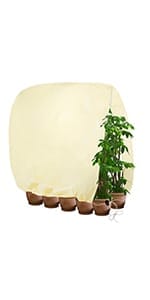 frost blankets for outdoor plants