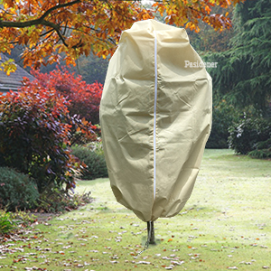 Tree cover