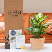 live plants for delivery