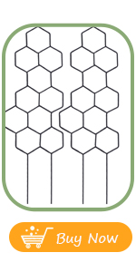 trellis