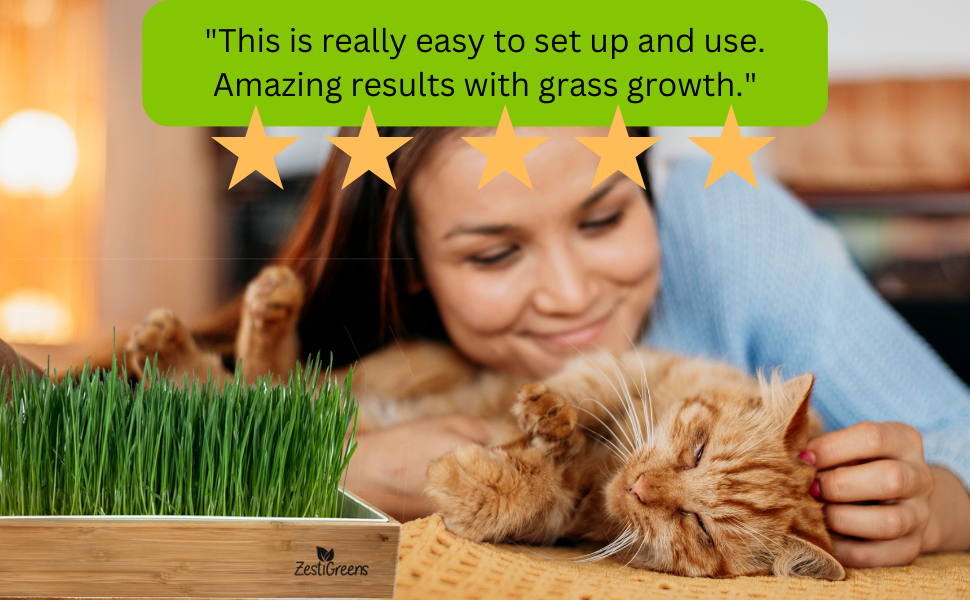 Cat Grass Growing Kit