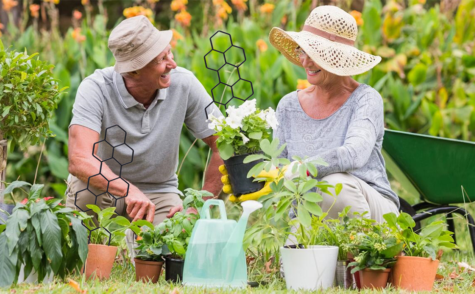 plant trellis