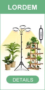 Tri-Head Halo Grow Light with Stand