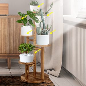 plant stand indoor