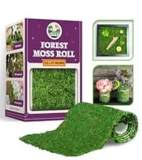 moss roll