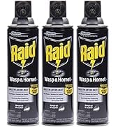 Raid Wasp & Hornet Killer Spray (14 Ounce (Pack of 3)