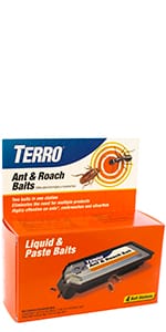 ant and roach bait and trap
