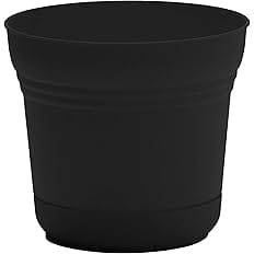 Bloem Saturn Round Planter with Saucer Tray: 14" - Black - Durable Plastic Pot, Matte Finish, Removable Saucer, for Indoor &