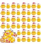 Exasinine 40 Pcs Mini Chickens Figurines Miniature Chicken Miniature Figurines Fairy Garden Minia...
