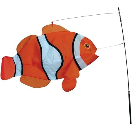 Swimming Fish - Clown Fish
