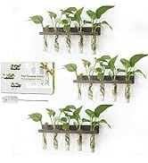 Renmxj Wall Hanging Plant Propagation Station - (15+1) Test Tubes 3 Tiered Wooden Stand Plant Ter...
