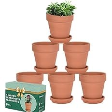 vensovo 4 Inch Terracotta Plant Pots with Saucer - 6 Pack Clay Flower Pots with Drainage, Great for Plants, Crafts, Wedding F