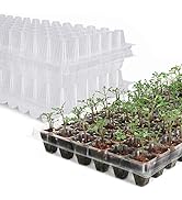 MIXC 720 Cells Seed Starter Trays Clear Transparent Seedling Tray Grow Germination Kit (1.5 inch ...