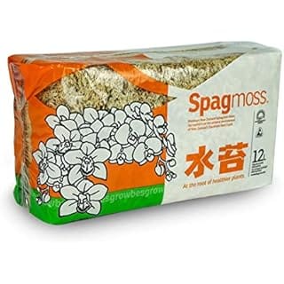 Spagmoss Premium New Zealand Sphagnum Moss for All Types of Flowers 150 Grams (12 Liters)