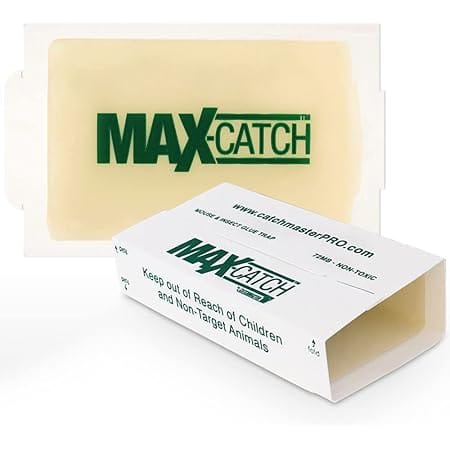 Pest Glue Trap by Catchmaster - 36 Boards Pre-Baited, Ready to Use Indoors. Rodent Mouse Rat Insect Sticky Adhesive Simple Easy Simple Non-Toxic - Made in the USA