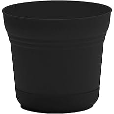 Bloem Saturn Round Planter with Saucer Tray: 12" - Black - Durable Plastic Pot, Matte Finish, Removable Saucer, for Indoor &