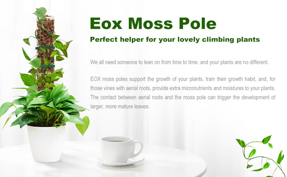 EOX Moss Pole