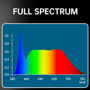 full spectrum 5000k daylight white