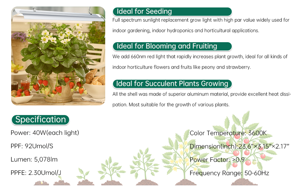 warm grow light