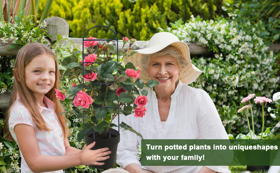 indoor plant trellis for potted plants climbing