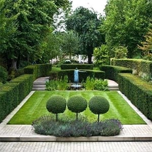 The yard is filled with green shrubs and herbs, the plants are formed into different tapes.