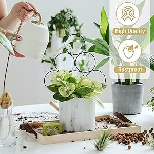 indoor plant trellis