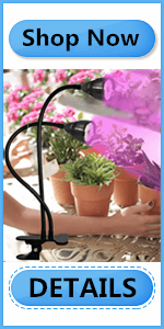 desk plant light