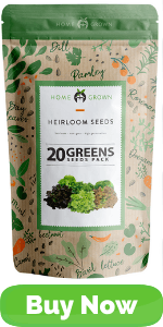 20 Lettuce and GReens Seeds