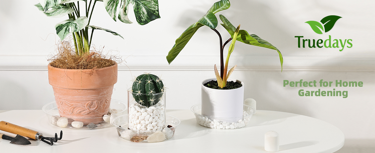 plant saucers