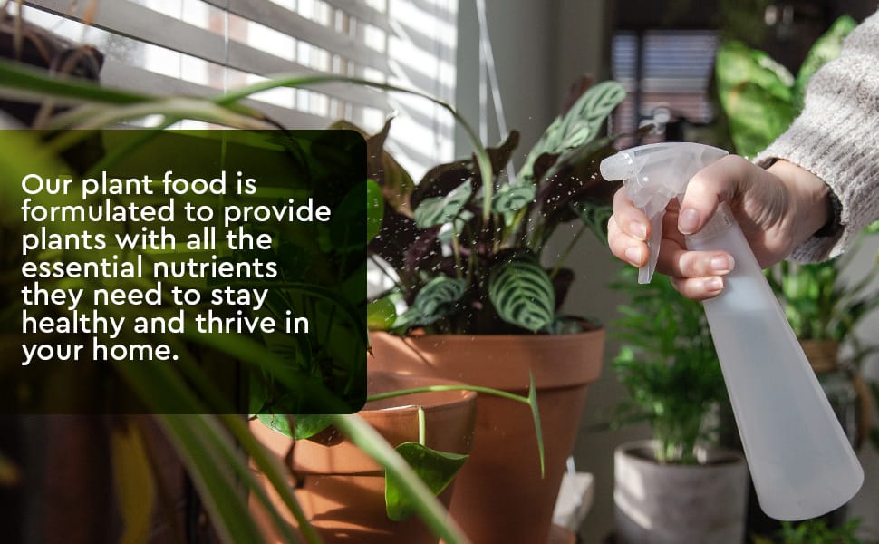 Our plant food is formulated to provide plants with all the essential nutrients they need to thrive