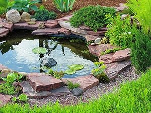 compact pond kit