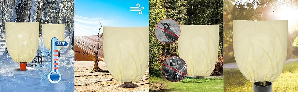 Plant Covers for Winter