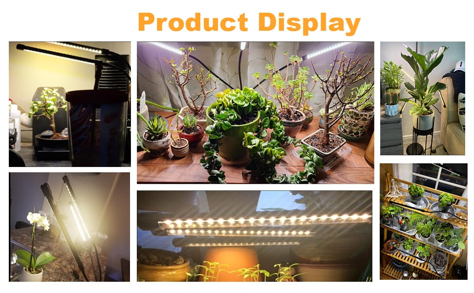 plant grow light bseah