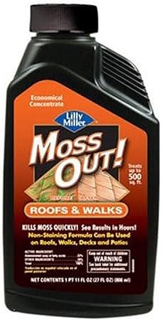 61-RqKWmqeL._AC_SY450