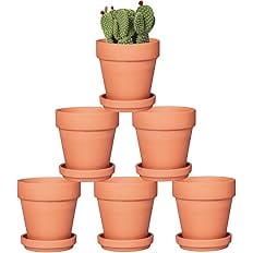 4 Inch Terracotta Pots with Saucer - 6 Pack Small Clay Plant Pots with Drainage Holes, Flower Pots with Tray, Terra Cotta Pot