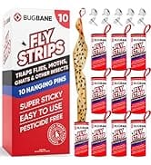 10 Fly Strips Indoor Sticky Hanging with Pins. Fly Trap Fly Paper Strips Indoor Hanging Fly Tape ...