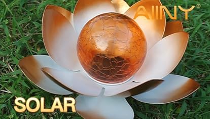 Video Widget Card