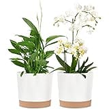 kubvici 2 Pack 8 Inch Planters for Indoor Plants, Plastic Flower Pots Plant Pots Indoor with Drainage Saucer for Outdoor Gard